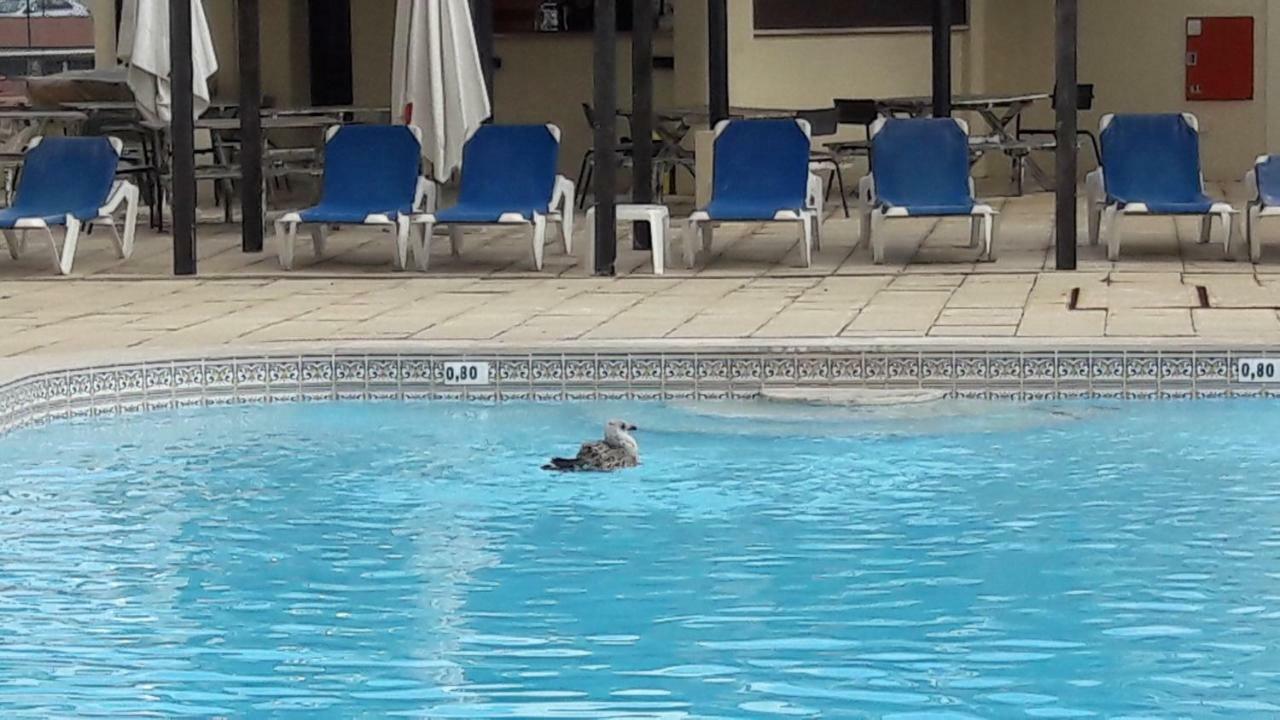 Apartamento Bela Vista Albufeira Bagian luar foto